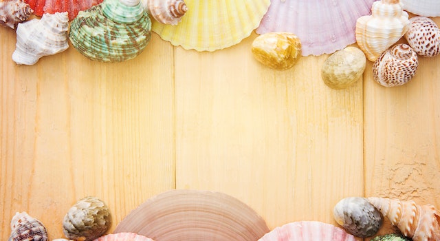 Seashell Decoration Ideas