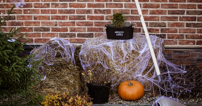 Halloween Yard Decoration Ideas