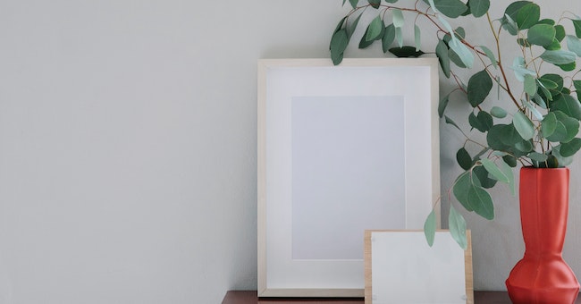 Plants for Specific Rooms in Your Home