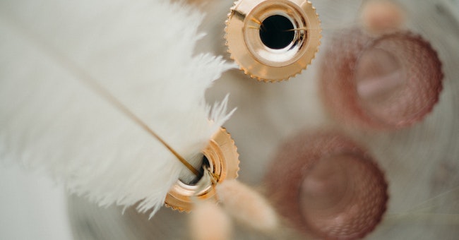 Feathers Bring Elegance and Sophistication to Any Space.