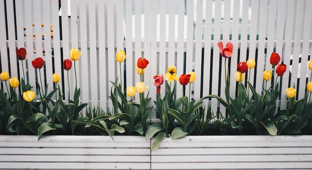 Ideas for Decorating the Gardens Themed