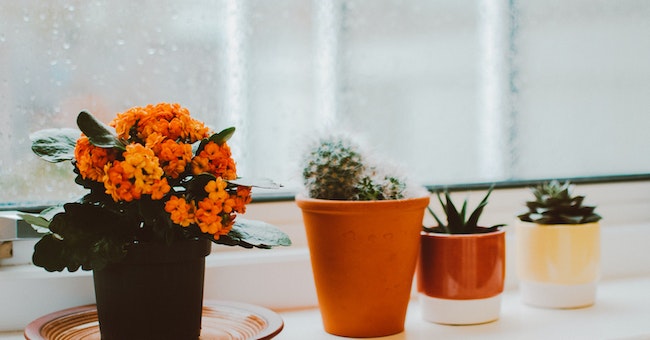 Unique Pot Decoration Ideas
