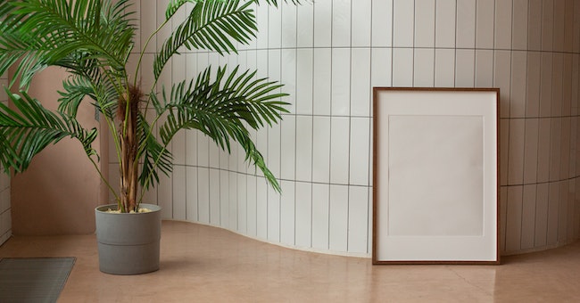 The Benefits of Incorporating Plants into Your Living Spaces