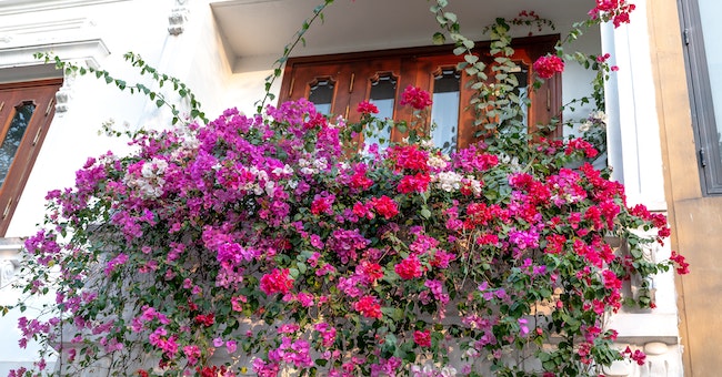 Spring Door Decoration Ideas