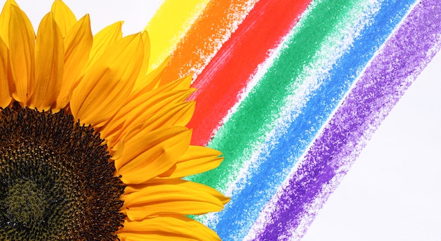 What Is The Reason Rainbow Decoration Ideas Are Popular And In High Demand?