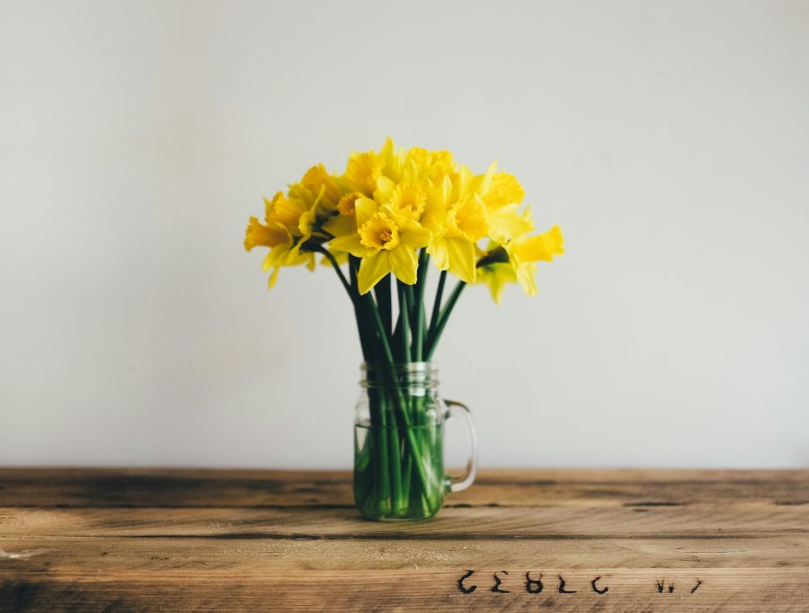 Bunch of daffodils in a glass jug in the middle of a wooden table