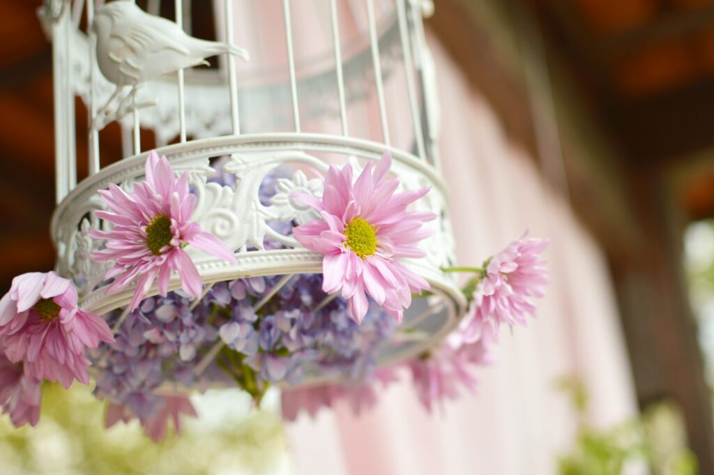How To Decorate a Birdcage?